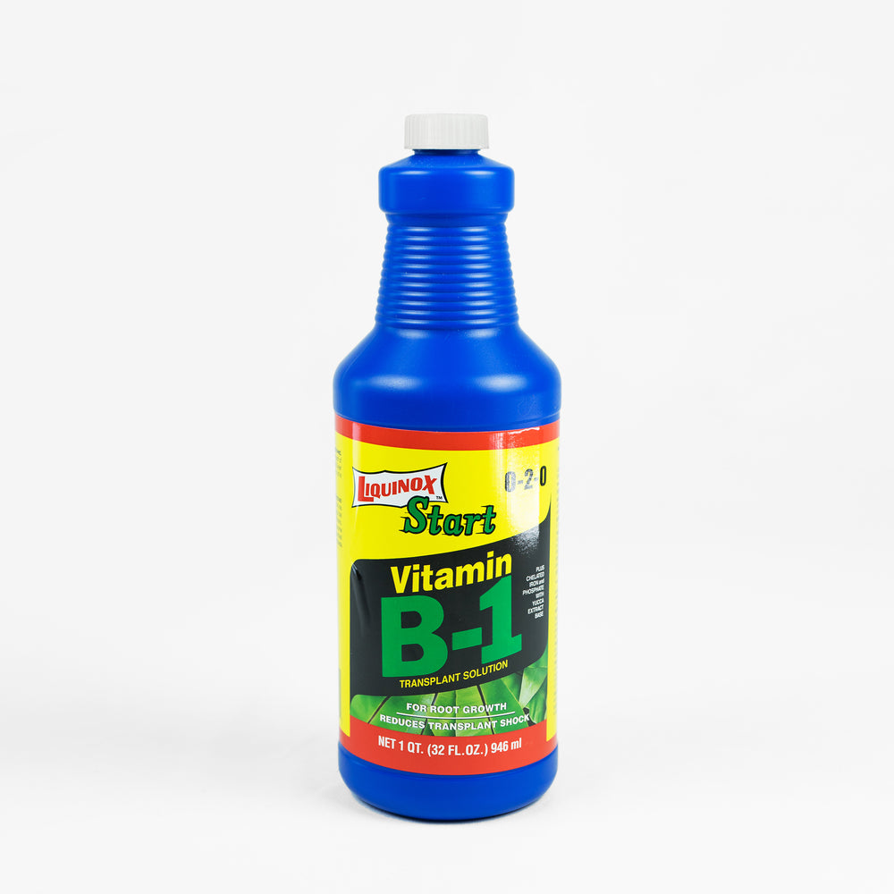 Quart of vitamin b1 fertilizer