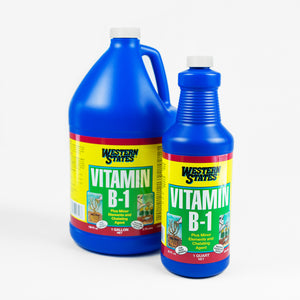 
                  
                    Load image into Gallery viewer, Gallon and quart of vitamin b1 fertilizer
                  
                