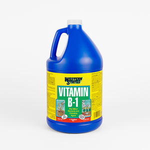 
                  
                    Load image into Gallery viewer, Gallon of vitamin b1 fertilizer 
                  
                